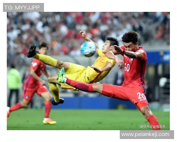 星光璀璨的绿茵场 足球明星与荣耀的辉煌之路