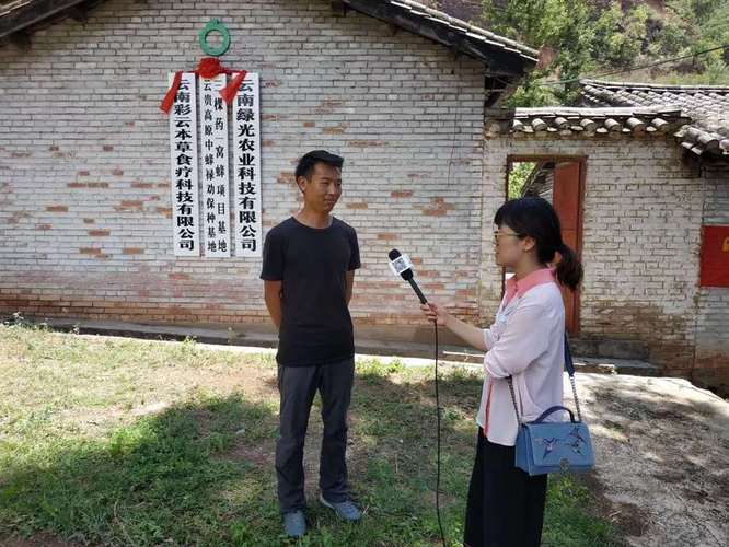 贵州中蜂养殖与培岸科技 数字化赋能深山蜂产业